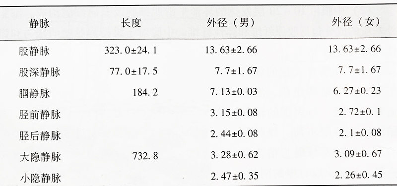 沈阳五一静脉曲张专科医院的下肢静脉血管长度与外径见表 沈阳五一静脉曲张专科医院的下肢静脉血管长度与外径见表